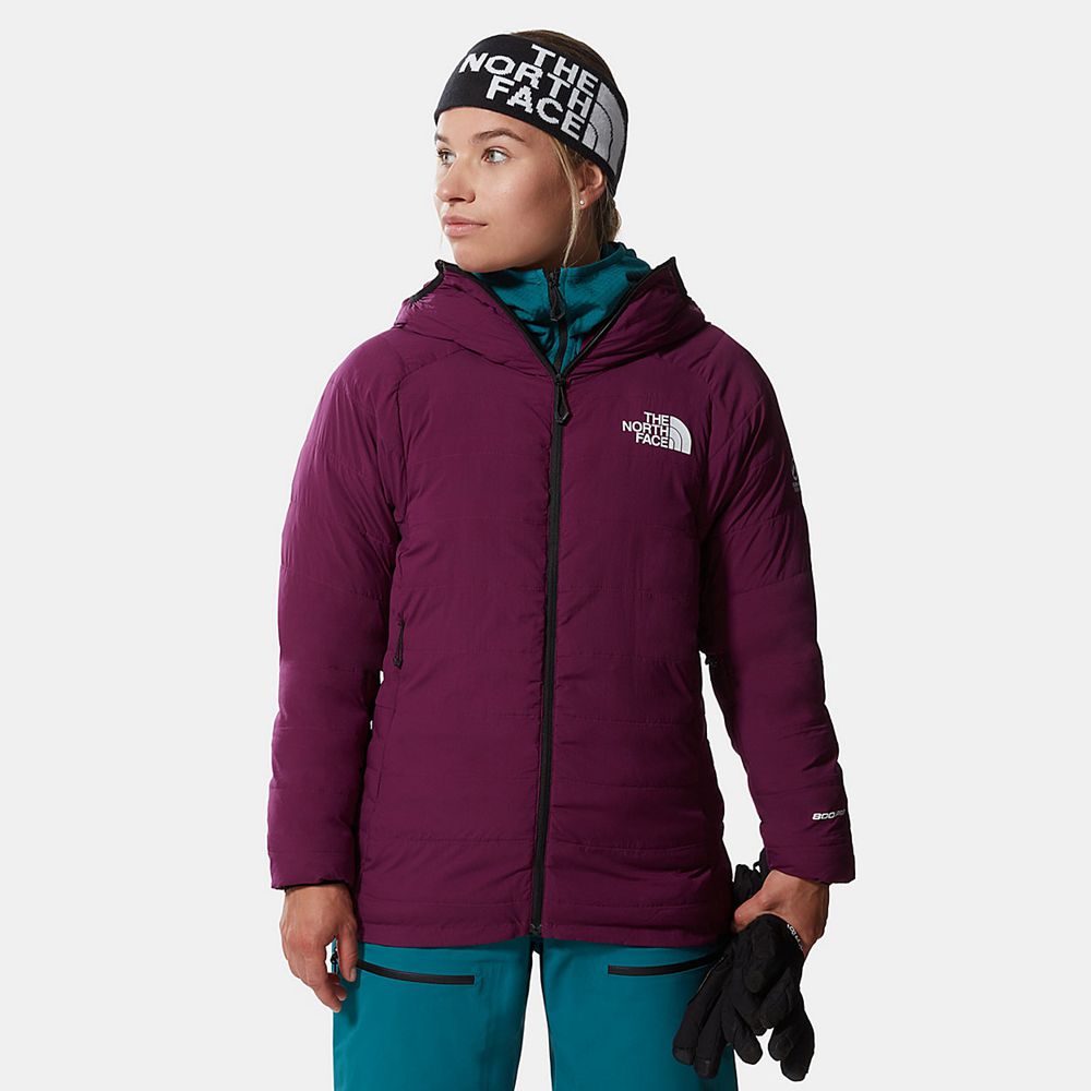 The North Face Winter Jacket Womens Australia - The North Face L3 50/50 Hooded Purple Mountaineering